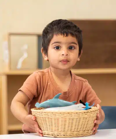 Montessori Boy With a Basket Of Toys