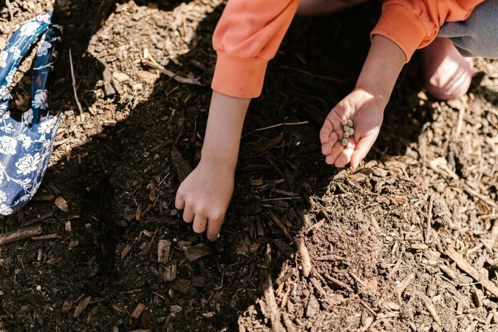 Learning About the Cycle of Life With Classroom Gardening - Montessori West